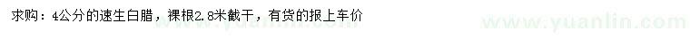 求購4公分速生白臘