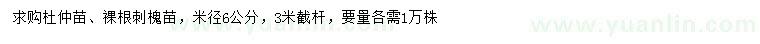 求購米徑6公分杜仲苗、刺槐苗