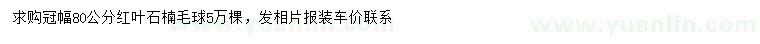 求購冠幅80公分紅葉石楠毛球