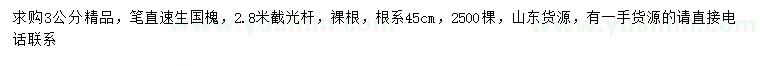 求購3公分速生國槐