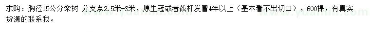 求購15公分欒樹