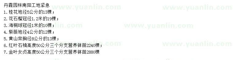 求購桂花、花石榴、海桐等