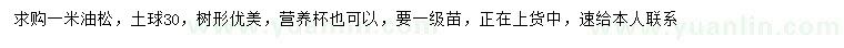 求購(gòu)1米油松