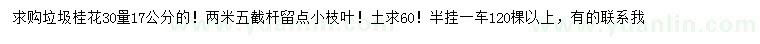 求購30公分量17公分垃圾桂花