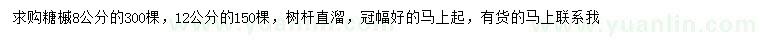 求購8、12公分糖槭