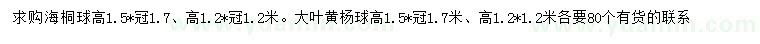 求購(gòu)高1.2、1.5米海桐球、大葉黃楊球