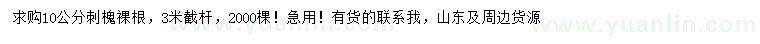 求購10公分刺槐