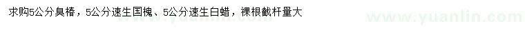 求購(gòu)臭椿、速生國(guó)槐、速生白蠟