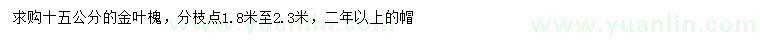 求購15公分金葉槐