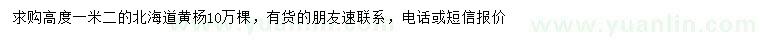 求購高1.2米北海道黃楊