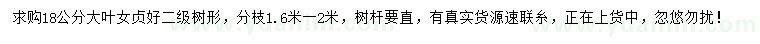 求購18公分大葉女貞