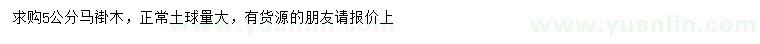 求購5公分馬褂木