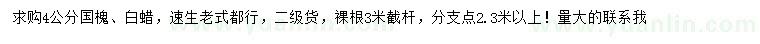 求購4公分國槐、白蠟