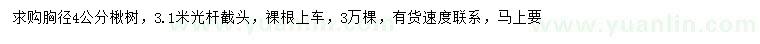 求購胸徑4公分楸樹