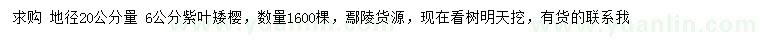 求購地徑20公分量6公分紫葉矮櫻