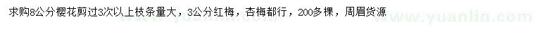 求購8公分櫻花、3公分紅梅
