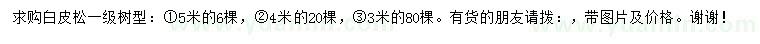 求購3、4、5米白皮松
