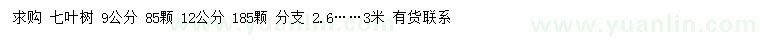 求購9、12公分七葉樹