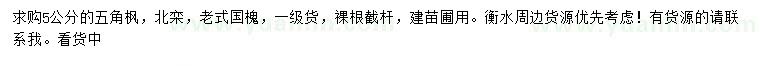 求購五角楓、北欒、老式國槐