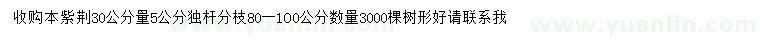 求購30公分量5公分紫荊
