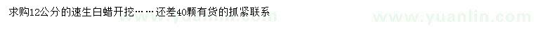 求購12公分速生白蠟