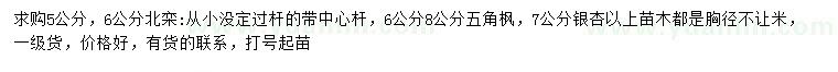 求購(gòu)北欒、五角楓、銀杏