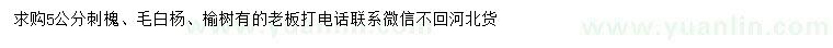 求購刺槐、毛白楊、榆樹