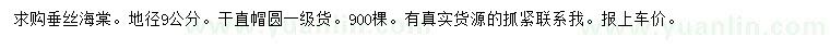 求購(gòu)地徑9公分垂絲海棠