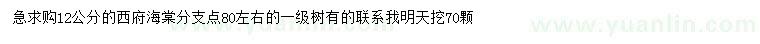 求購(gòu)12公分西府海棠