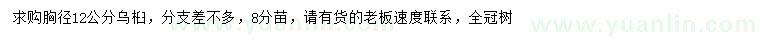 求購12公分烏桕