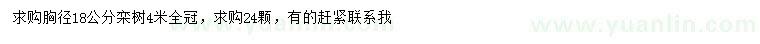 求購胸徑18公分欒樹