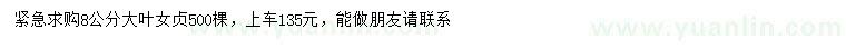 求購8公分大葉女貞