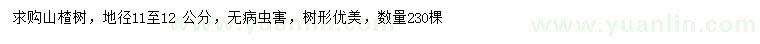 求購地徑11-12 公分山楂樹