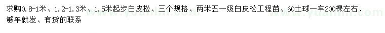 求購0.8-1、1.2-1.3、1.5米起步白皮松