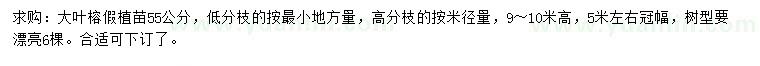 求購55公分大葉榕假植苗