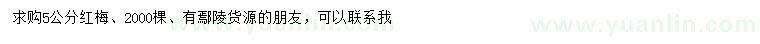 求購5公分紅梅