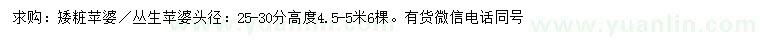 求購頭徑25-30公分矮粧蘋婆、叢生蘋婆