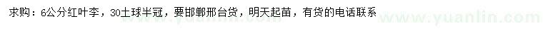 求購6公分紅葉李