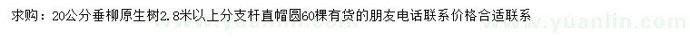 求購(gòu)20公分垂柳