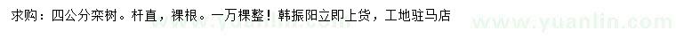 求購4公分欒樹