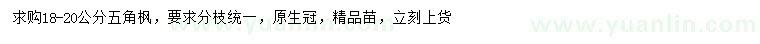求購18-20公分五角楓