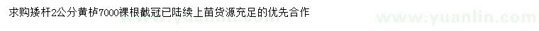 求購2公分黃櫨