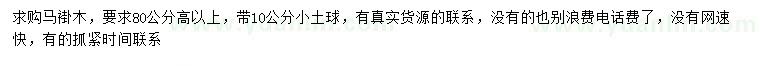 求購高80公分以上馬褂木