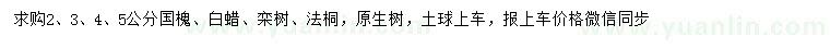 求購(gòu)國(guó)槐、白蠟、欒樹(shù)等