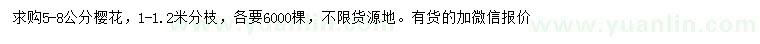 求購5-8公分櫻花