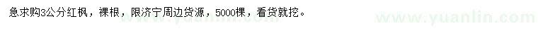 求購(gòu)3公分紅楓
