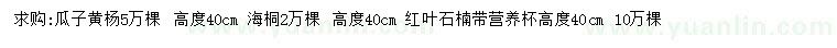 求購瓜子黃楊、海桐、紅葉石楠