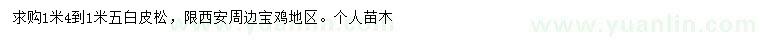 求購1.4-1.5米白皮松