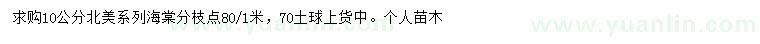 求購10公分北美海棠