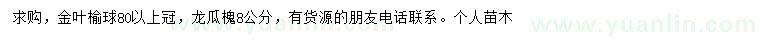 求購(gòu)冠幅80公分以上金葉榆球